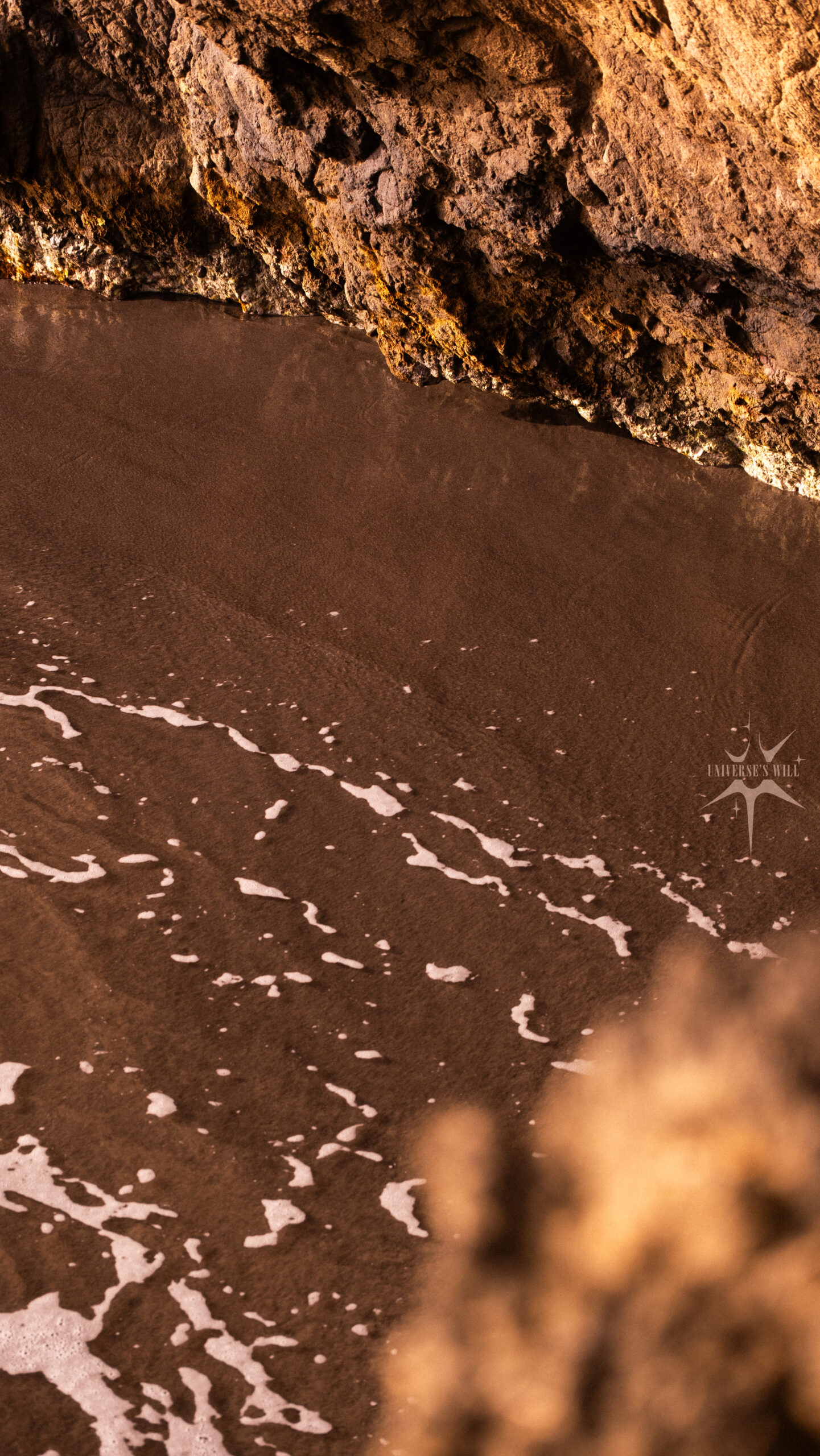 Photo de la rive ensoleillée à Anse Couleuvre, Précheur
