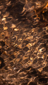 Photo de l'eau claire de la rivière à l'Anse Noire