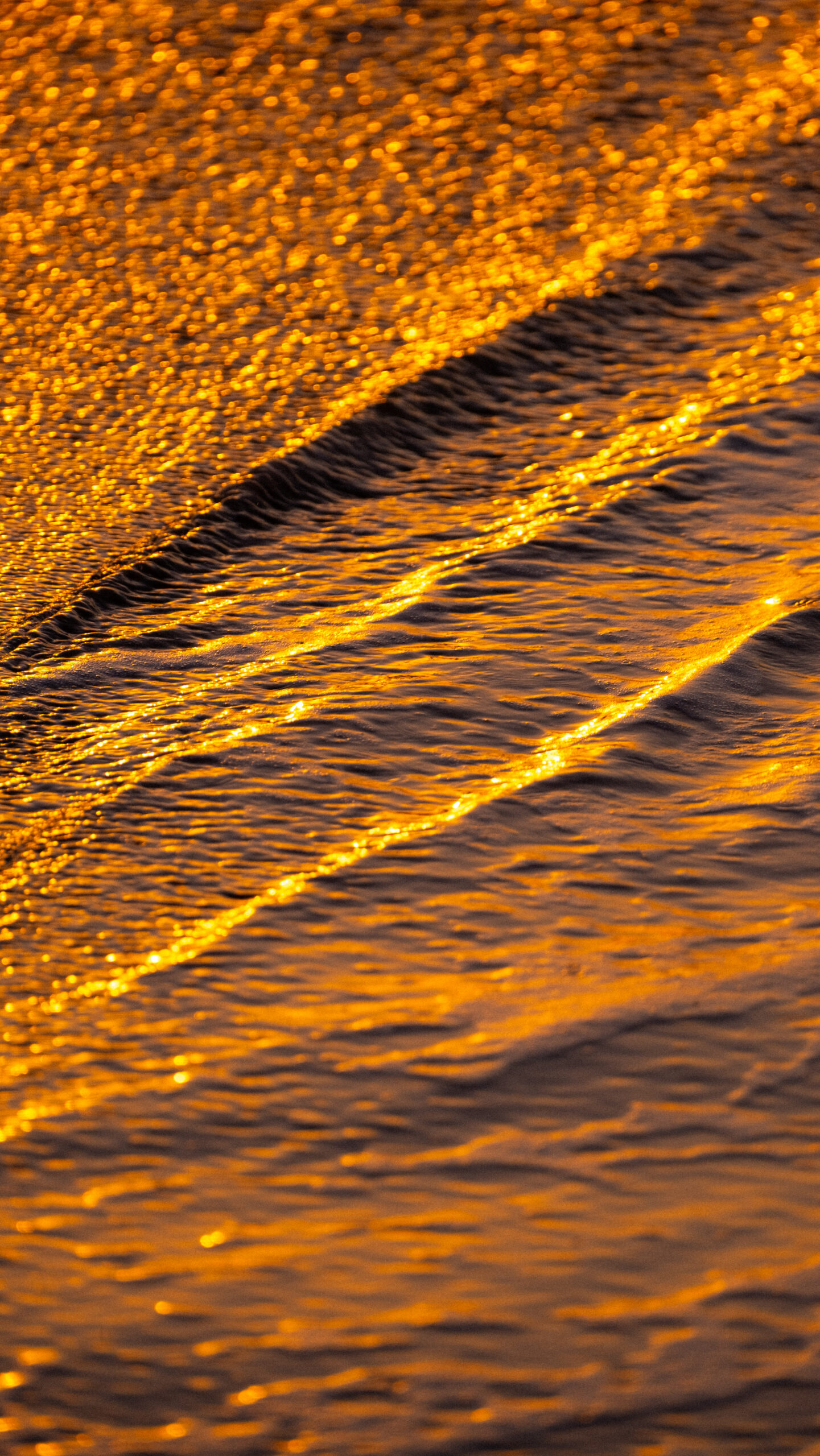 Photo de la rive au coucher de soleil au Carbet