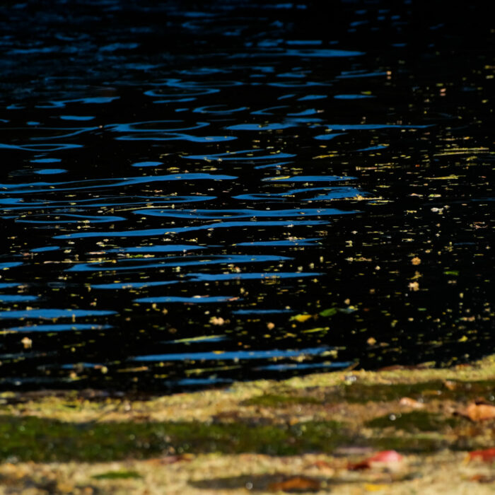 photo-carbet-embouchure-riviere Photo d'une embouchure de rivière au Carbet