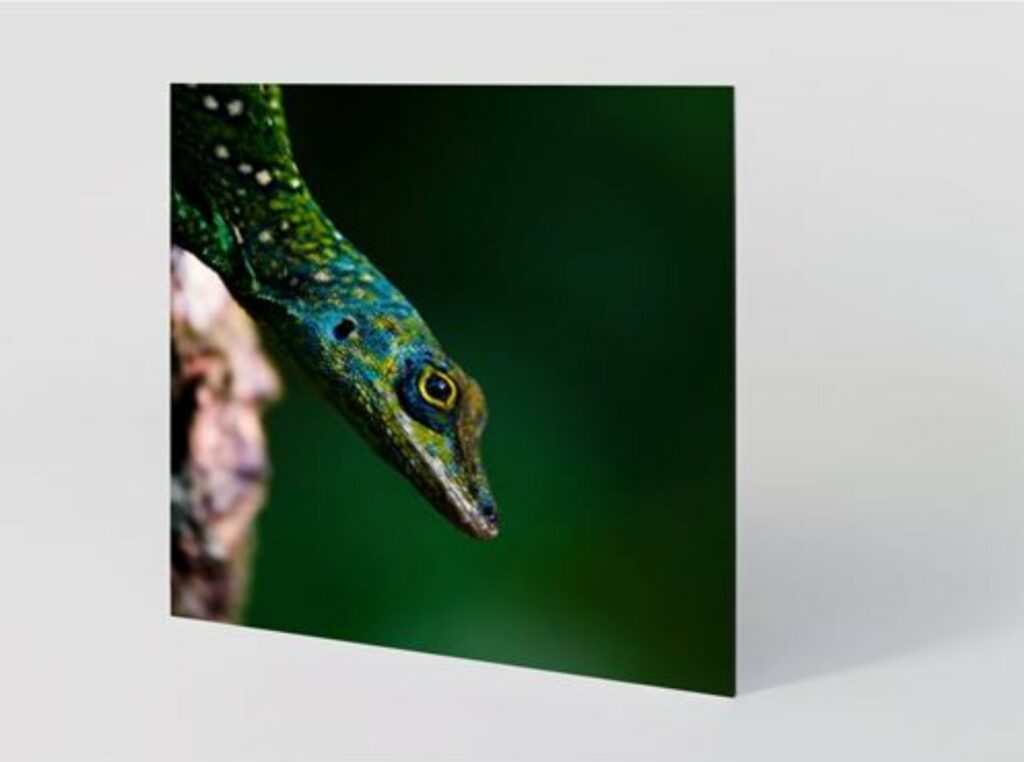 Photo d'un tirage d'art William Productions