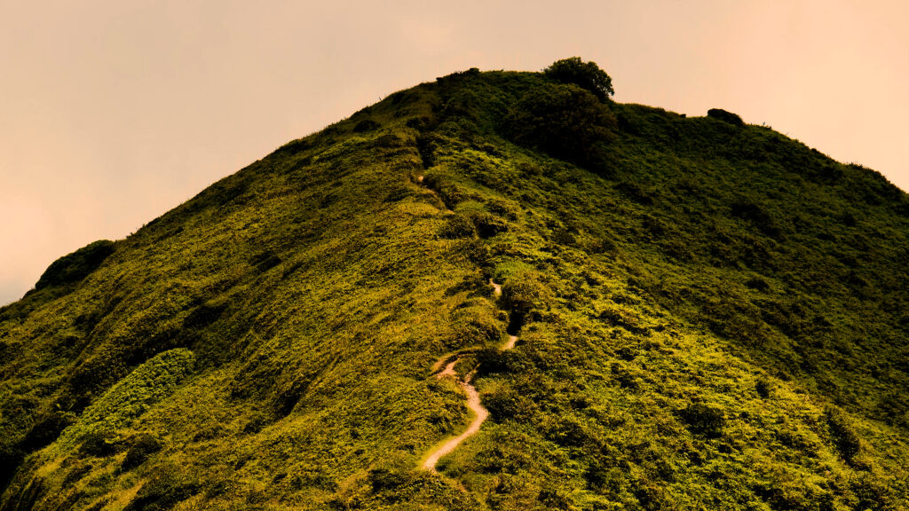 Photo d'un morne au sommet de la Montagne Pelée, Morne-Rouge