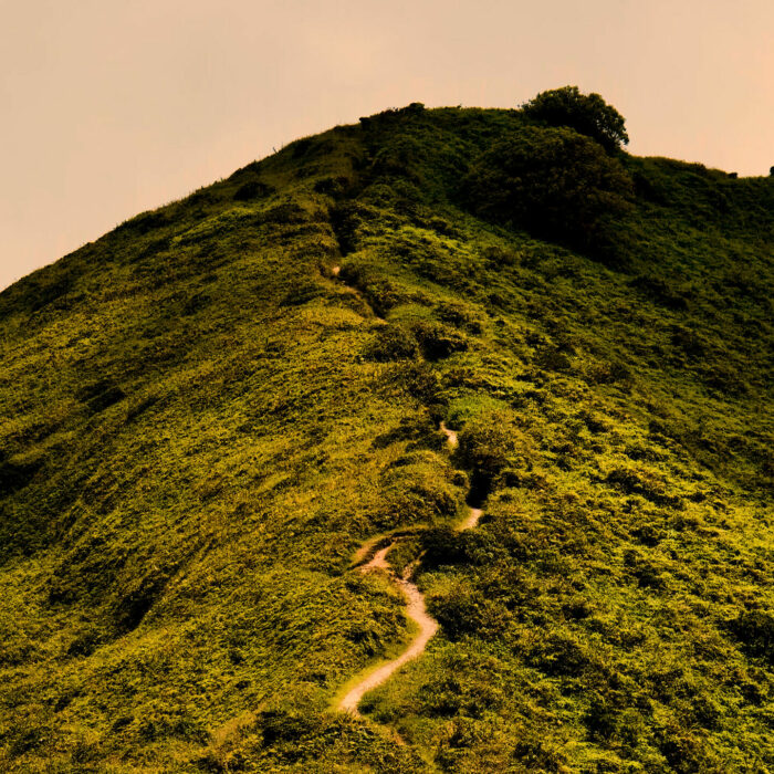 photo-montagne-pelee-morne Photo d'un morne au sommet de la Montagne Pelée, Morne-Rouge