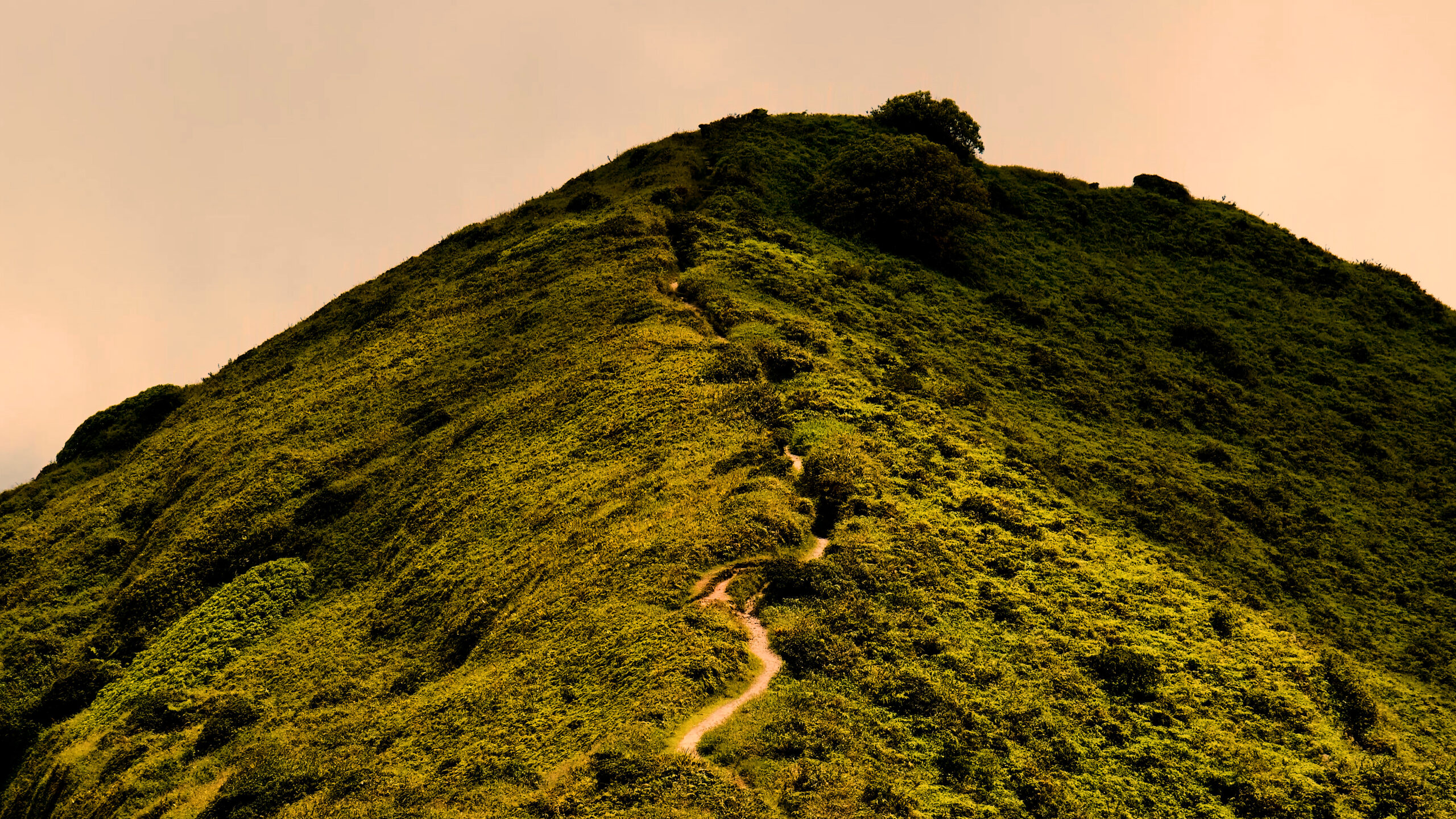 Photo d'un morne au sommet de la Montagne Pelée, Morne-Rouge