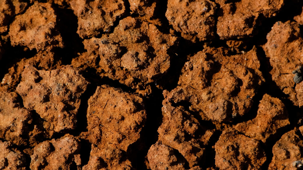 Photo de la terre argileuse de la Savane des Pétrifications