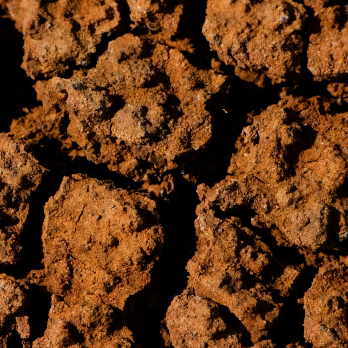 photo-sainte-anne-argile-seche Photo de la terre argileuse de la Savane des Pétrifications