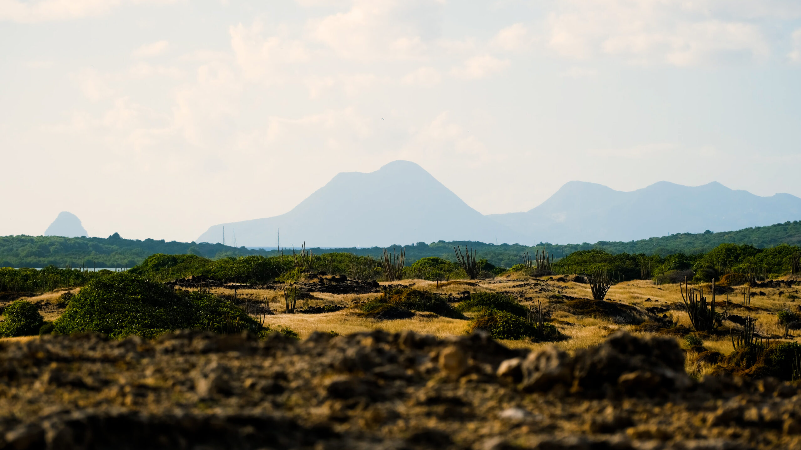 Photo de la Savane des Pétrifications avec la Dame Couchée et le Rocher du Diamant